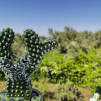Handcrafted Green Ceramic Cactus Sculpture in Pot