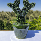 Handcrafted Green Ceramic Cactus Sculpture in Pot